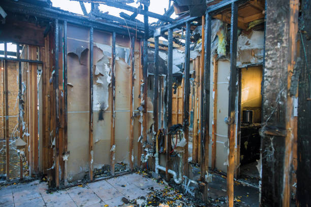 Professional Smoke Damage Removal technician working in Woodbridge, VA